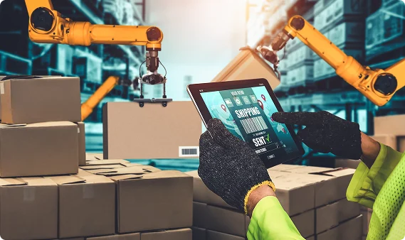 Capabilities Delivered